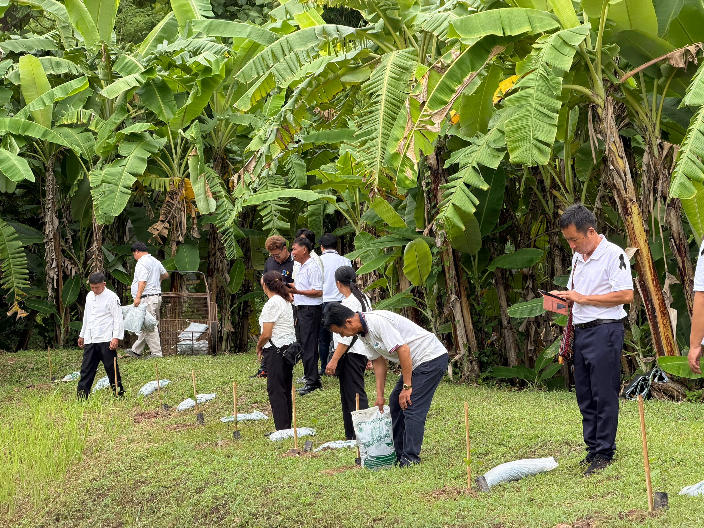title - ส.ป.ก.แพร่ จัดโครงการ ปลูกเพื่อเปลี่ยน เปลี่ยนเพื่อยั่งยืน  เทิดไท้องค์ทศมราชา เพื่อเพิ่มพื้นที่สีเขียวในเขตปฏิรูปที่ดิน